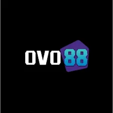 OVO88 - Pertarungan Seru yang Mengguncang